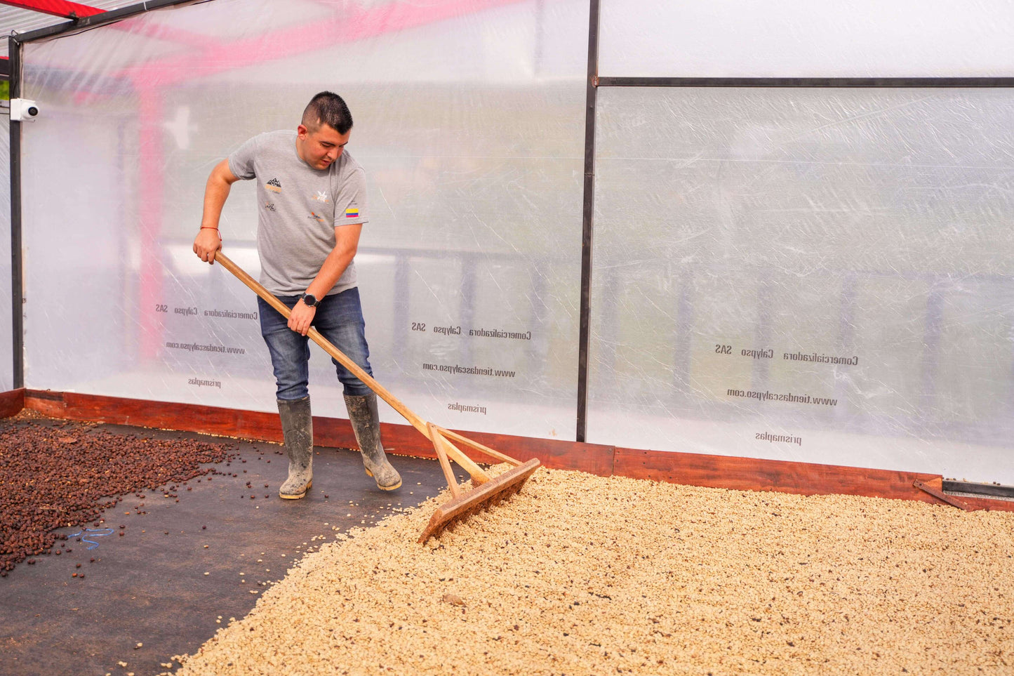 Colombia LAS FLORES Espresso