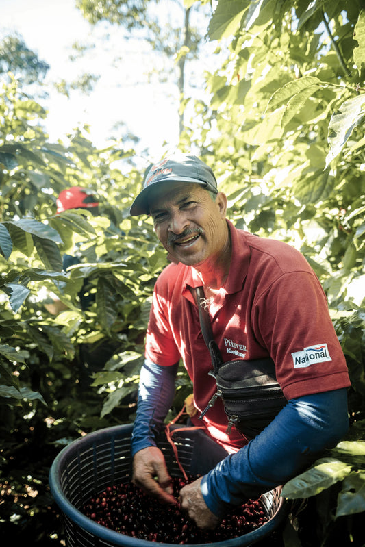 Costa Rica ENTRE R_OS Espresso