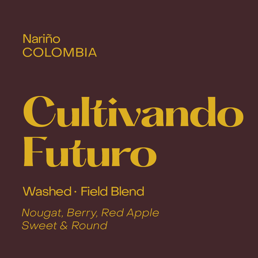 Cultivando Futuro, Washed Field Blend
