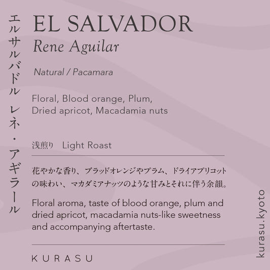 El Salvador Rene Aguilar Pacamara Natural