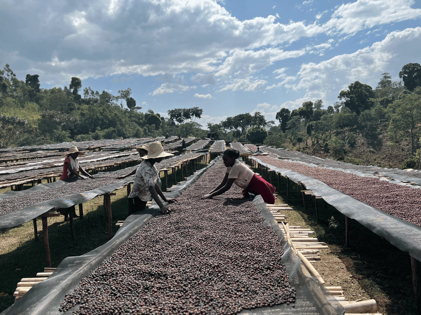 Etiopia FAYSEL ABDOSH Filter