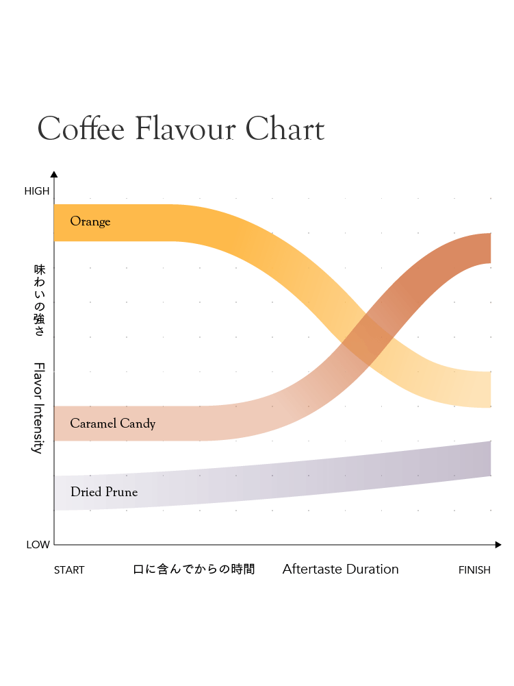 Kurasu House Blend Medium