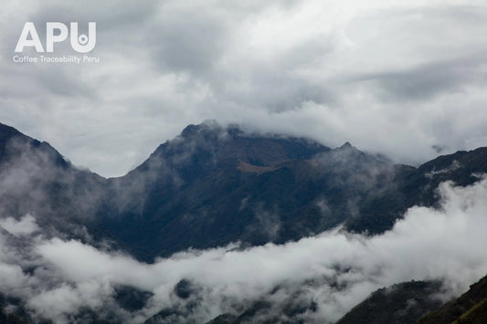 Perú COMPETICI_N JHENRRY CHAVEZ Omni