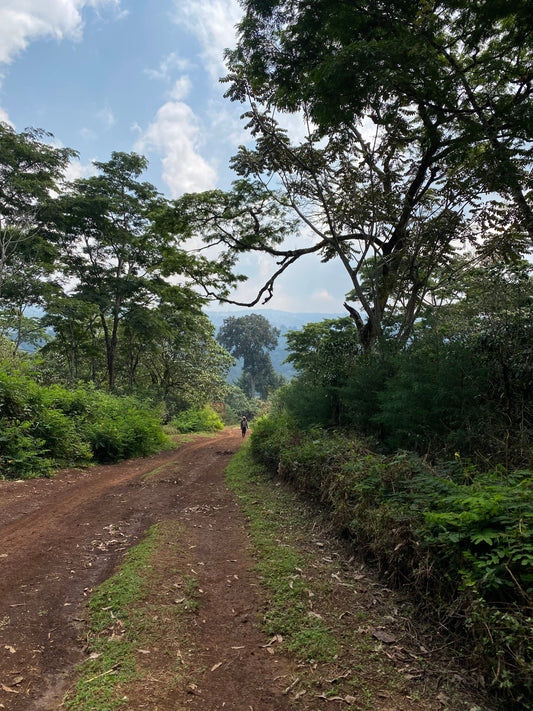 Reshad Natural Espresso