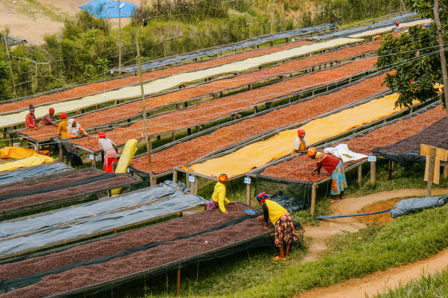 Rwanda INZOVU Espresso