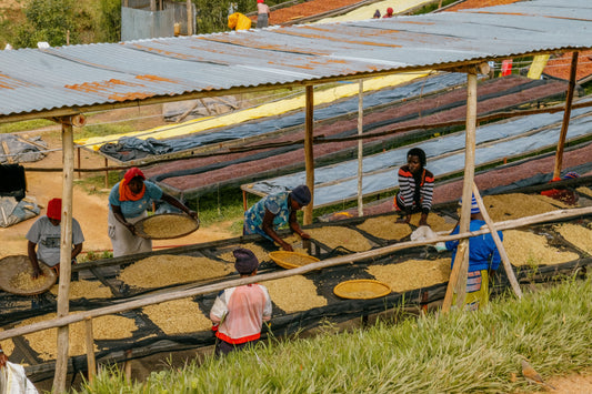 Rwanda INZOVU Filter