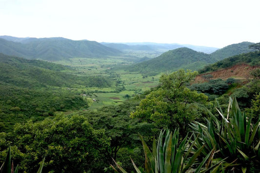 Tanzania KORONGO Filter