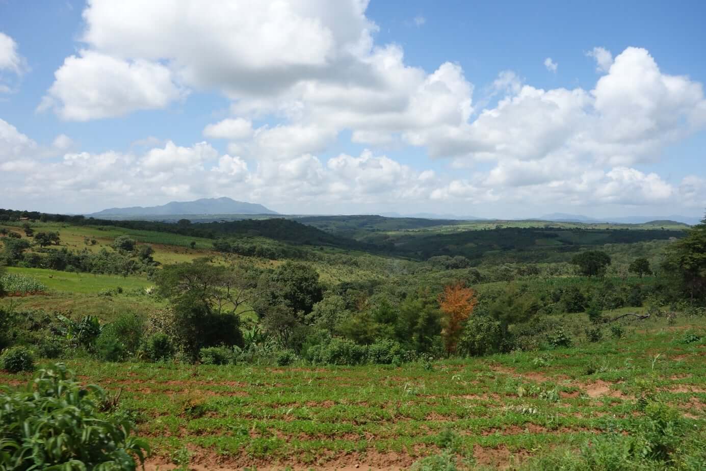 Tanzania KORONGO Filter