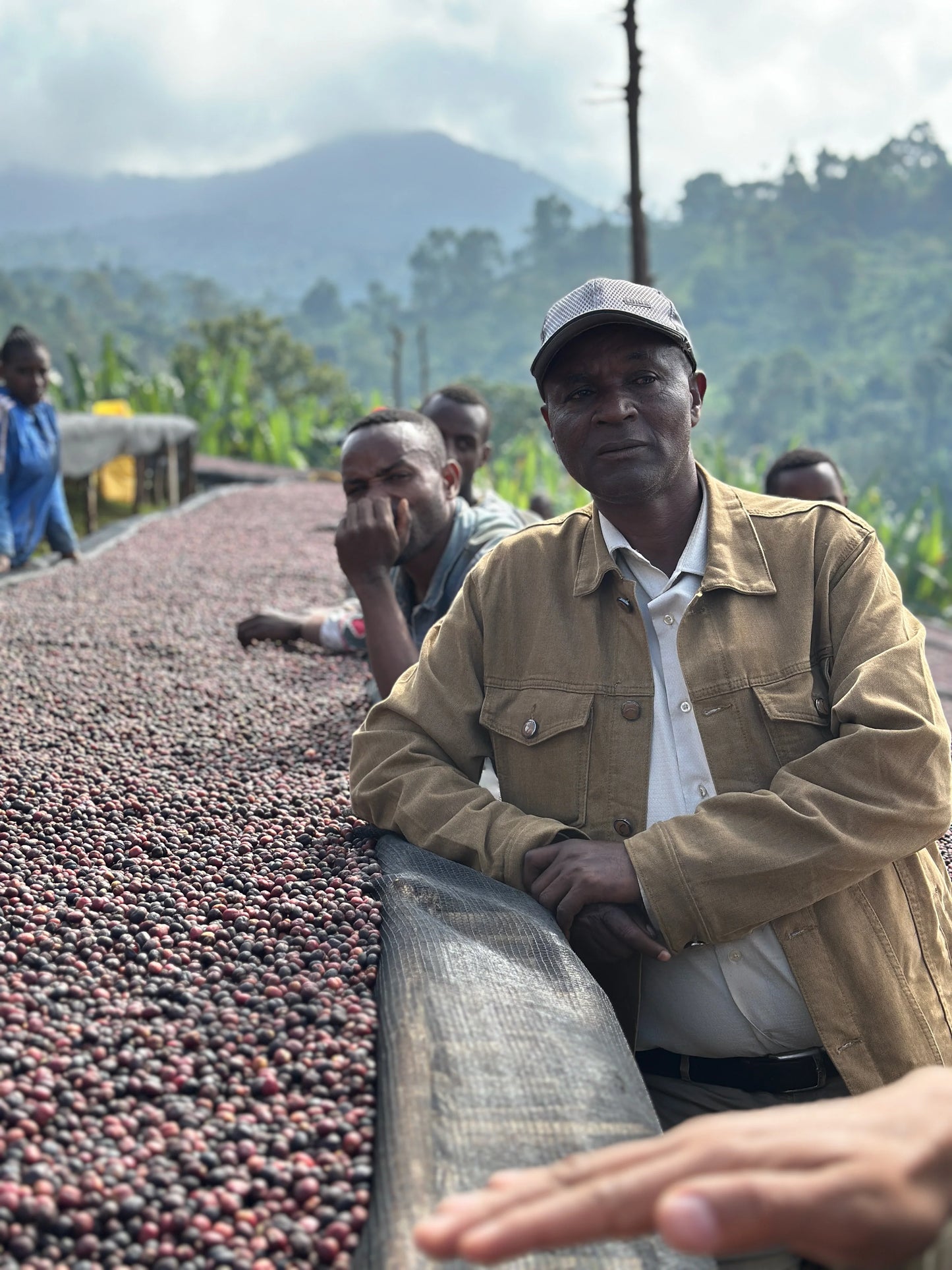 Bekele Natural Espresso