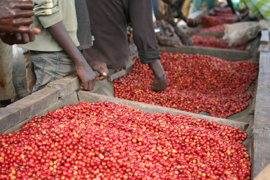 Burundi GAHAHE Filter
