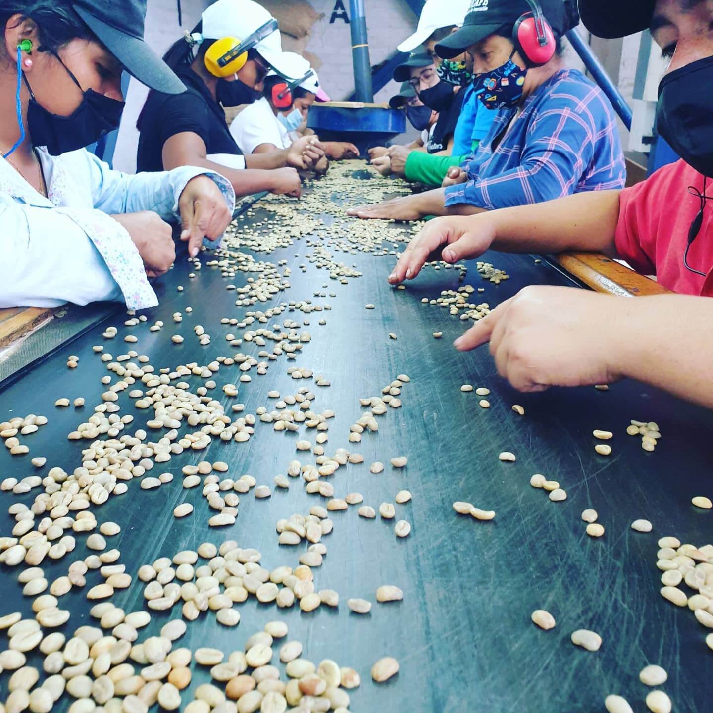 Colombia MACONDO Omni