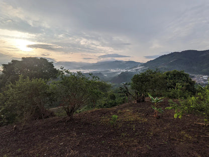 El Rubí - Colombia Anaerobic Washed Sidamo