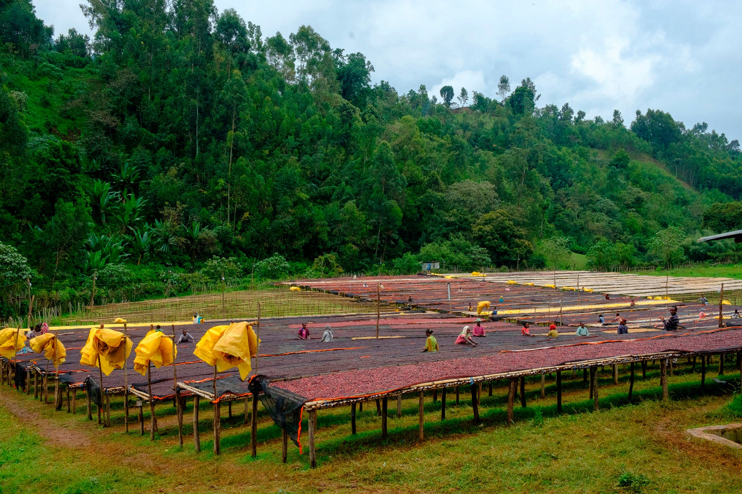 Etiopia BOMBE Filter