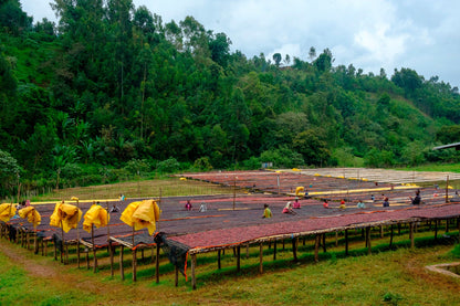 Etiopia BOMBE Filter