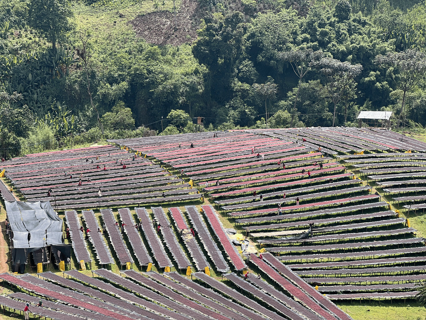 Etiopia FAYSEL ABDOSH Filter
