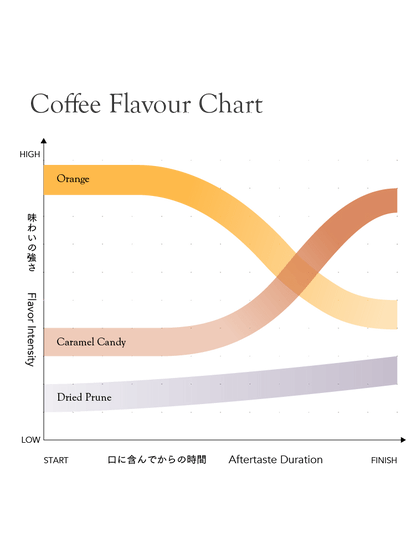 Kurasu House Blend Medium