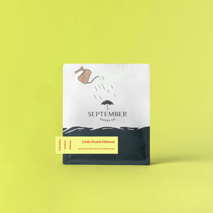 Little Pearls Chiroso - Colombia Washed Chiroso