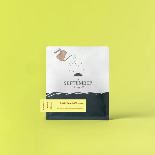 Little Pearls Chiroso - Colombia Washed Chiroso