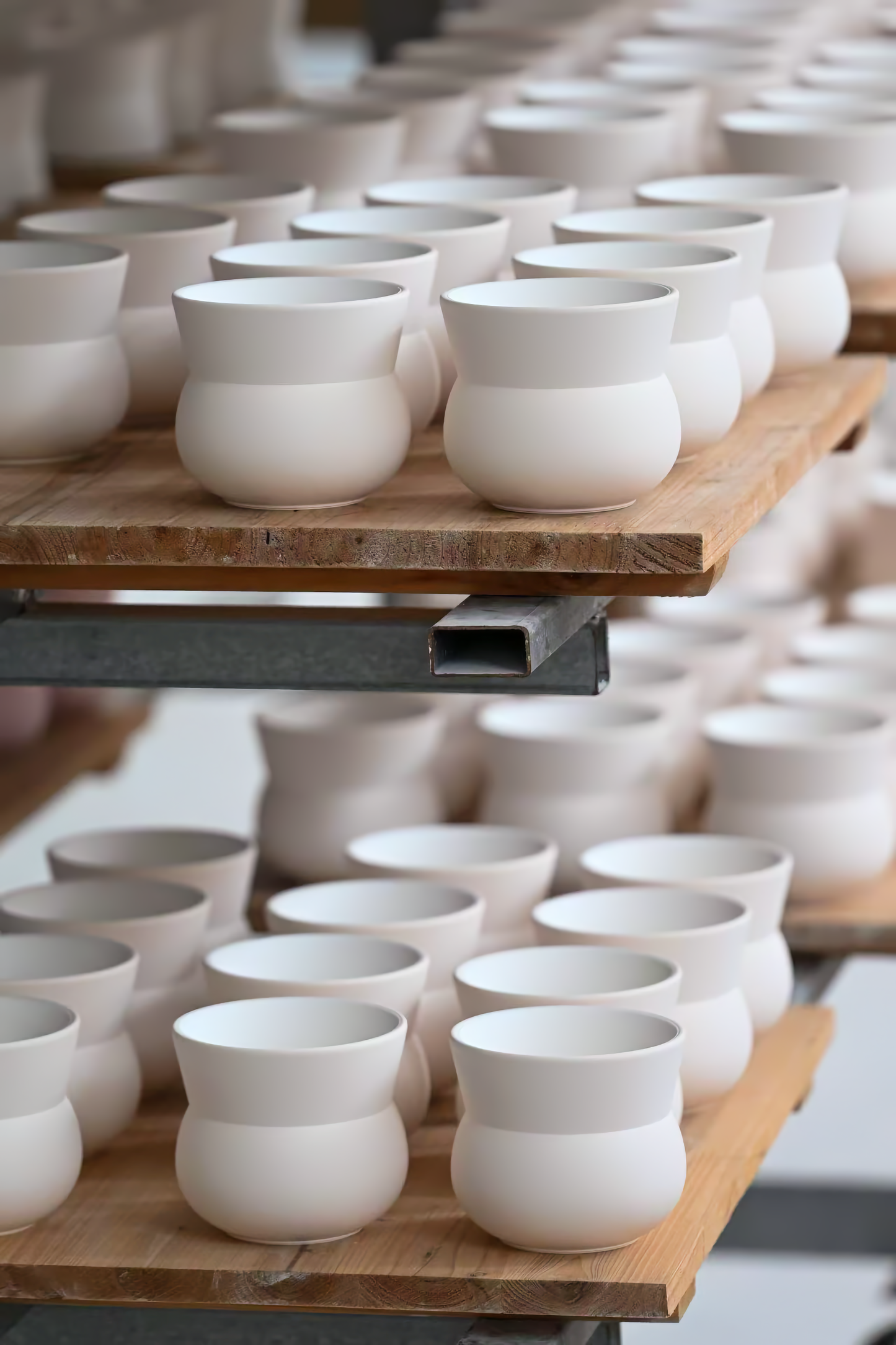 元炁杯 Lucid Sensory Cup