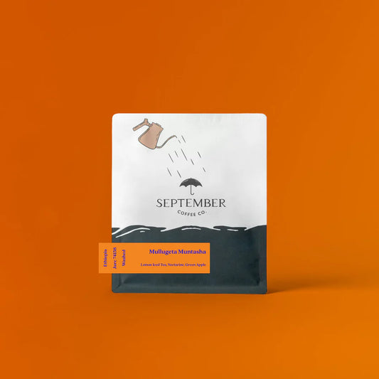 Mullugeta Muntasha - Ethiopia Washed 74158