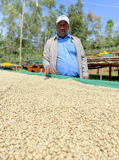 Mullugeta Muntasha - Ethiopia Washed 74158