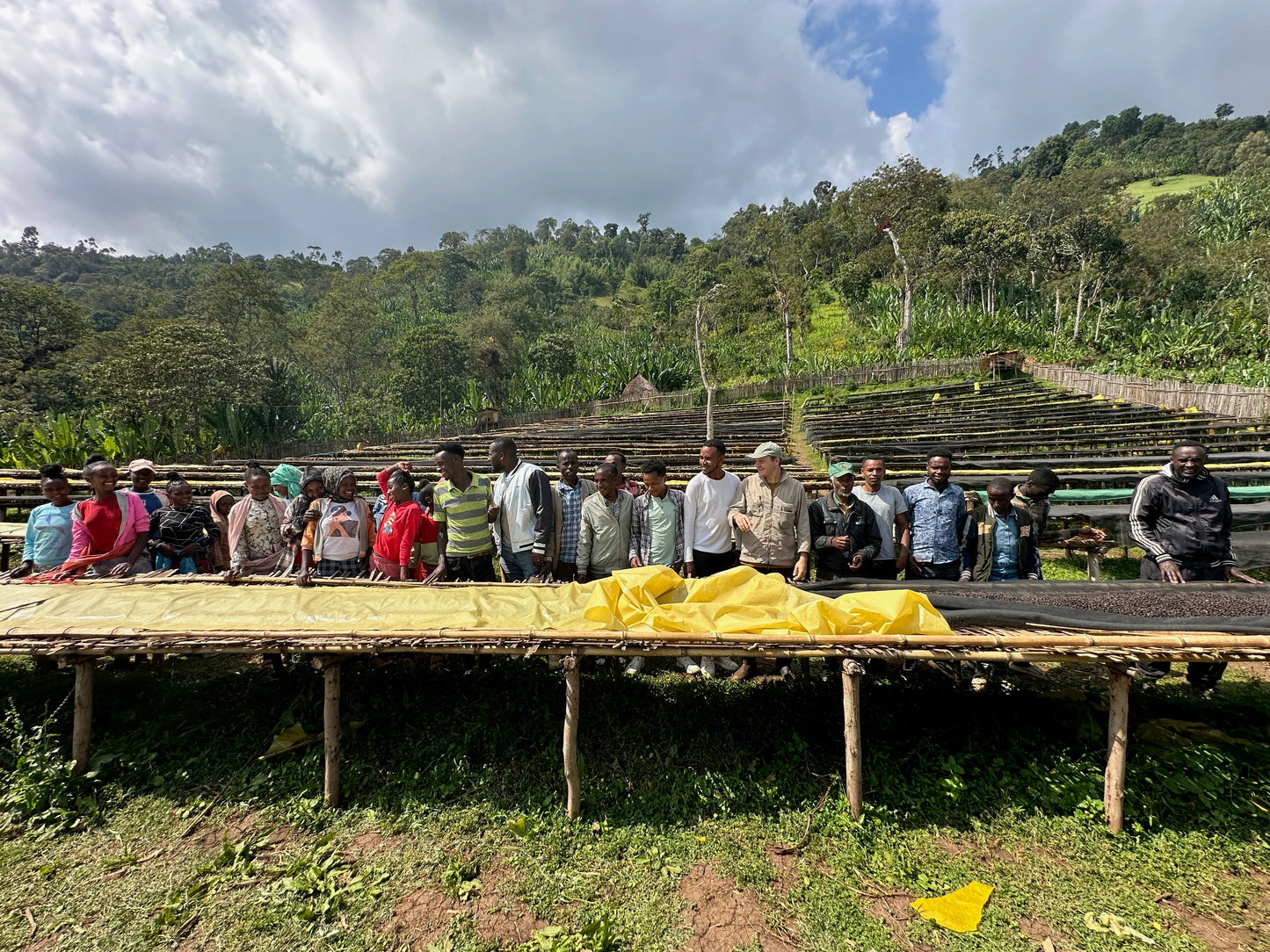 Mulugeta Red Honey
