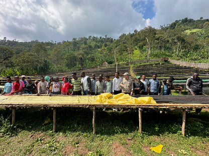 Mulugeta Red Honey