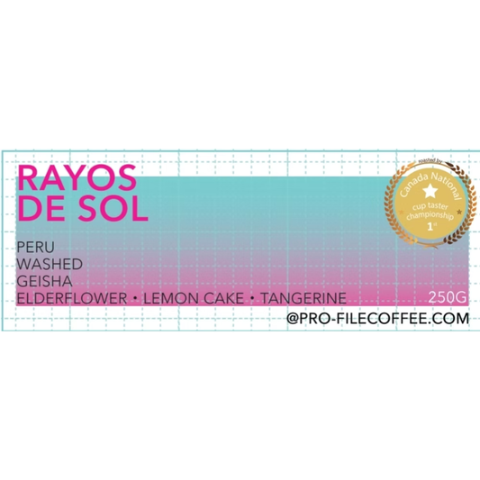 Rayos de Sol Peru Washed Geisha