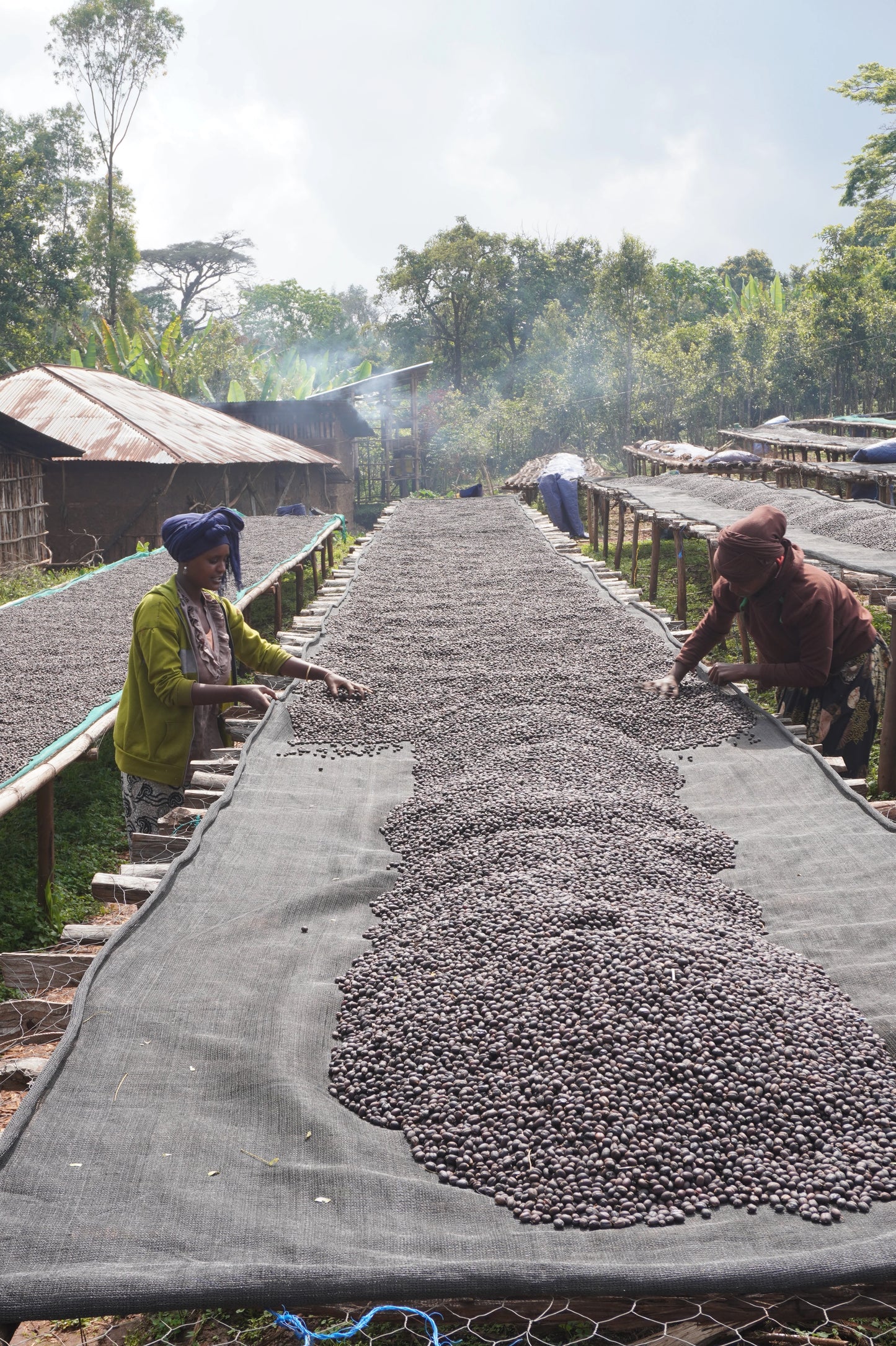 Reshad Natural Espresso