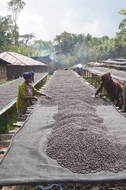 Reshad Natural Espresso