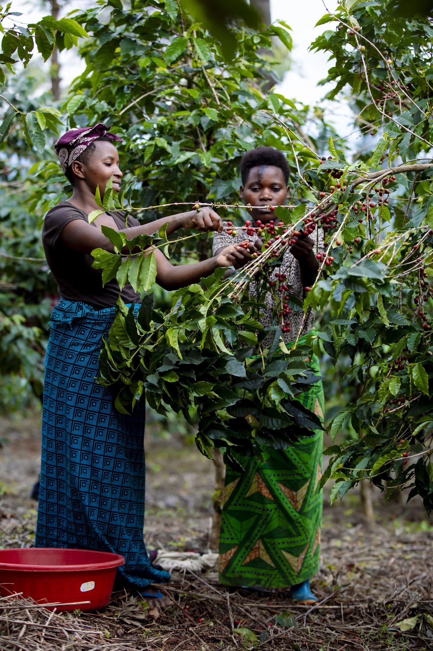 Rwanda GASHARU Filter