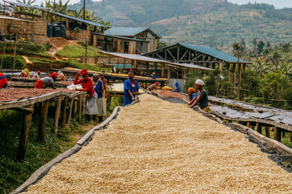 Rwanda INZOVU Filter