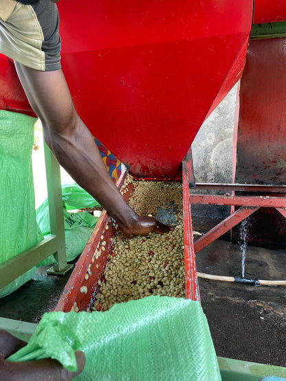 Rwanda SHYIRA Espresso