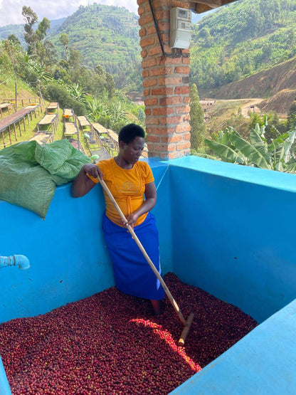 Rwanda SHYIRA Espresso