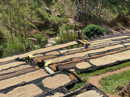 Rwanda SHYIRA Espresso