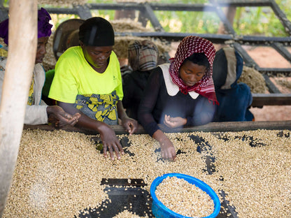 Rwanda WOMEN'S CROWN Espresso