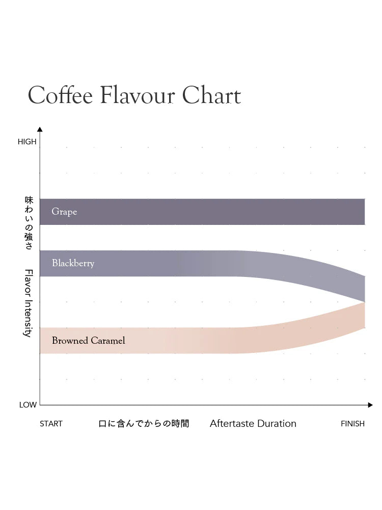 Seasonal Blend Natsu Ake å¤__ 2025