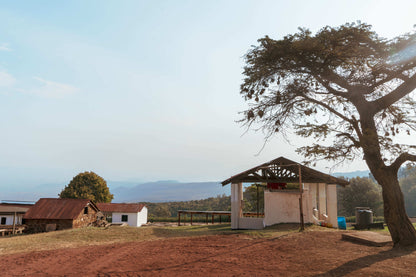 Tanzania Acacia Hills Pacamara Filter